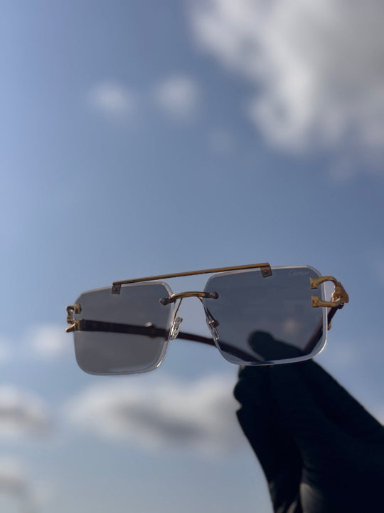 Solar Cheetah Black Transition Glasses | Photochromic UV400 Sunglasses