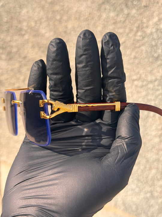 Solar Cheetah Black Transition Glasses | Photochromic UV400 Sunglasses